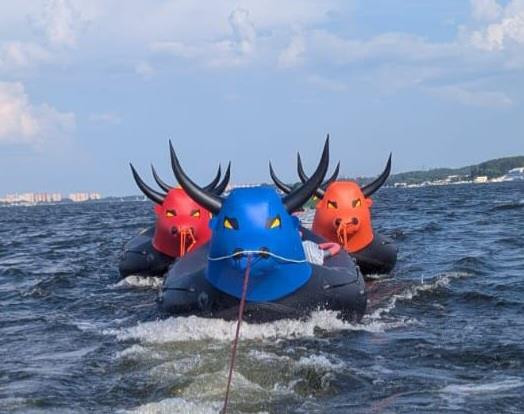 Водный тимбилдинг Гонки на лодках быках