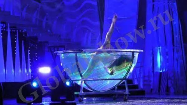 Организация Новогоднего корпоратива с программой Цирк! Цирк! Цирк!