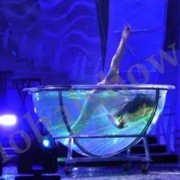 Проведение новогоднего корпоратива с программой Цирк! Цирк! Цирк! Организация Новогоднего корпоратива с программой Цирк! Цирк! Цирк!