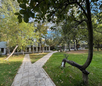 организация корпоратива на природе