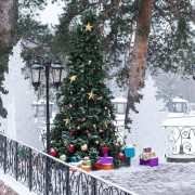 Площадка № 148 Ресторан на природе для мероприятий зимой